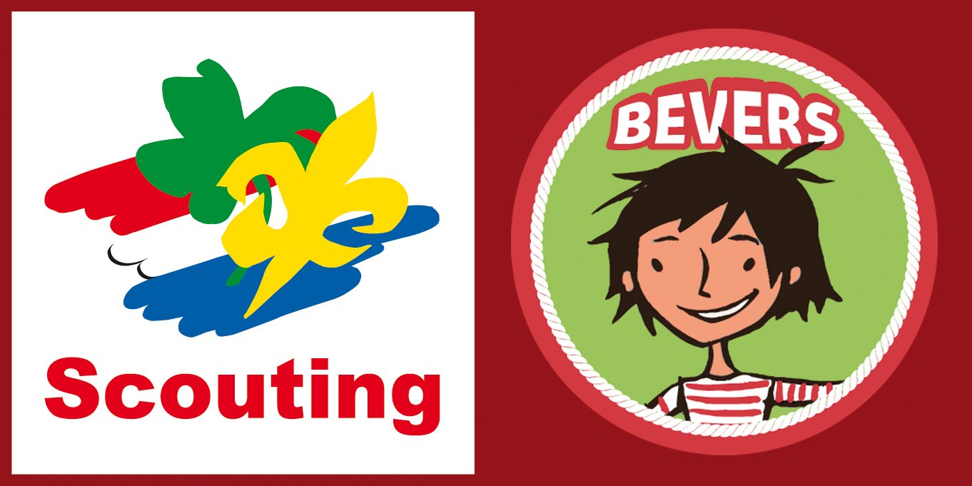Bevers
